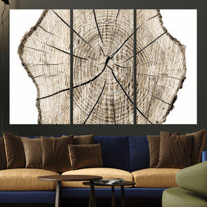 Abstract Wood Tree Ring Wall Art - Ready to Hang Minimalist