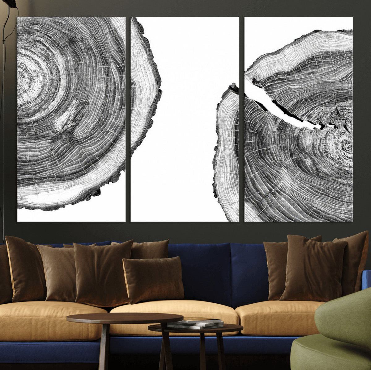 Abstract Large Tree Rings – Minimalist Black and White Wood