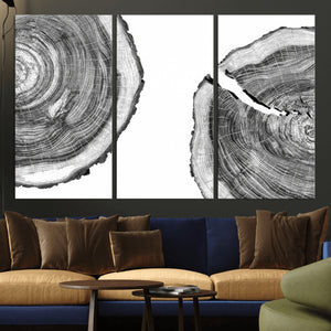 Abstract Large Tree Rings – Minimalist Black and White Wood