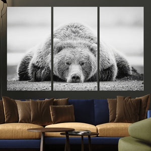 Resting Grizzly Bear Wall Art Canvas Print – Majestic Lazy