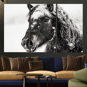 Framed Black and White Horse Wall Art | Ready to Hang and