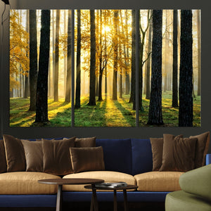 Sunlit Forest Wall Art Canvas Print – Large Framed Woodland