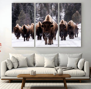 Bison Wall Art Canvas Print- Bison Herd Canvas Wall Art –