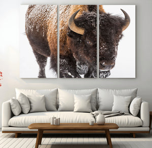 Bison Wall Art Canvas Print For Farmhouse, Wild Animal Wall
