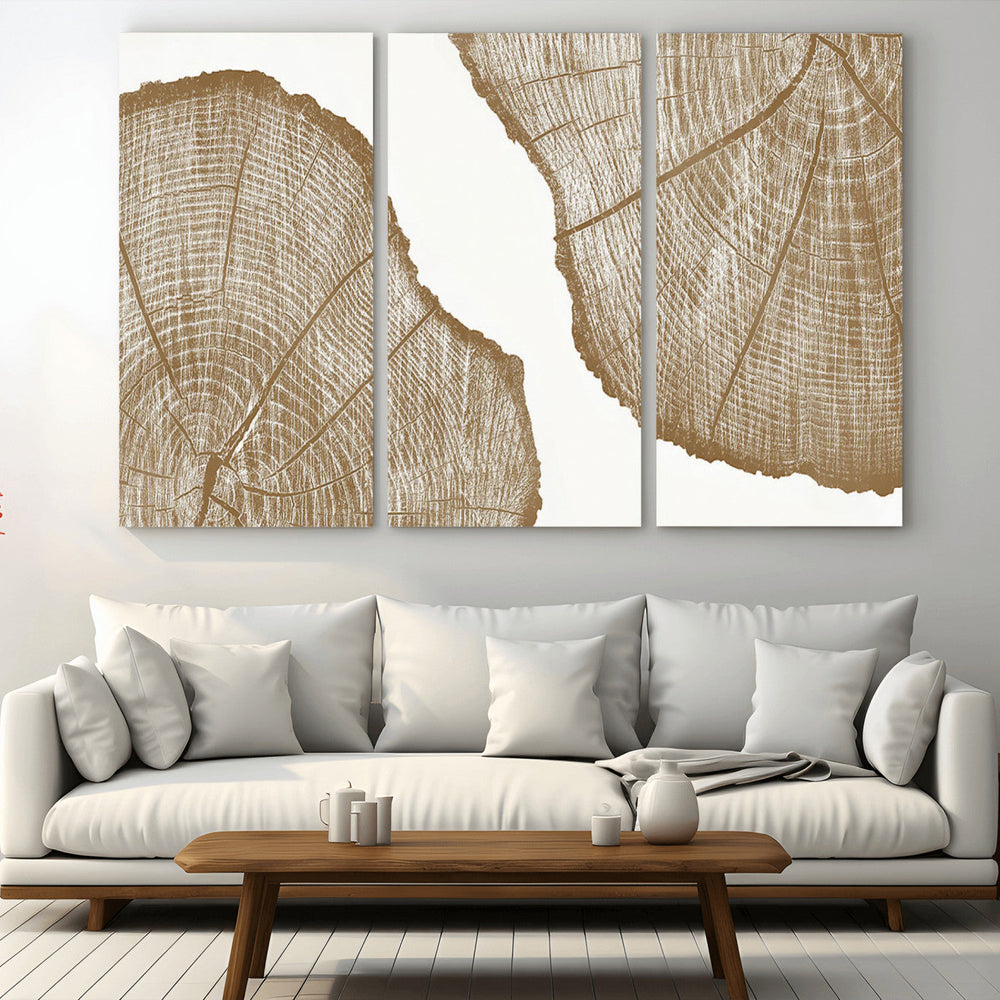 Rustic Brown Tree Ring Wall Art Canvas Print – Framed and