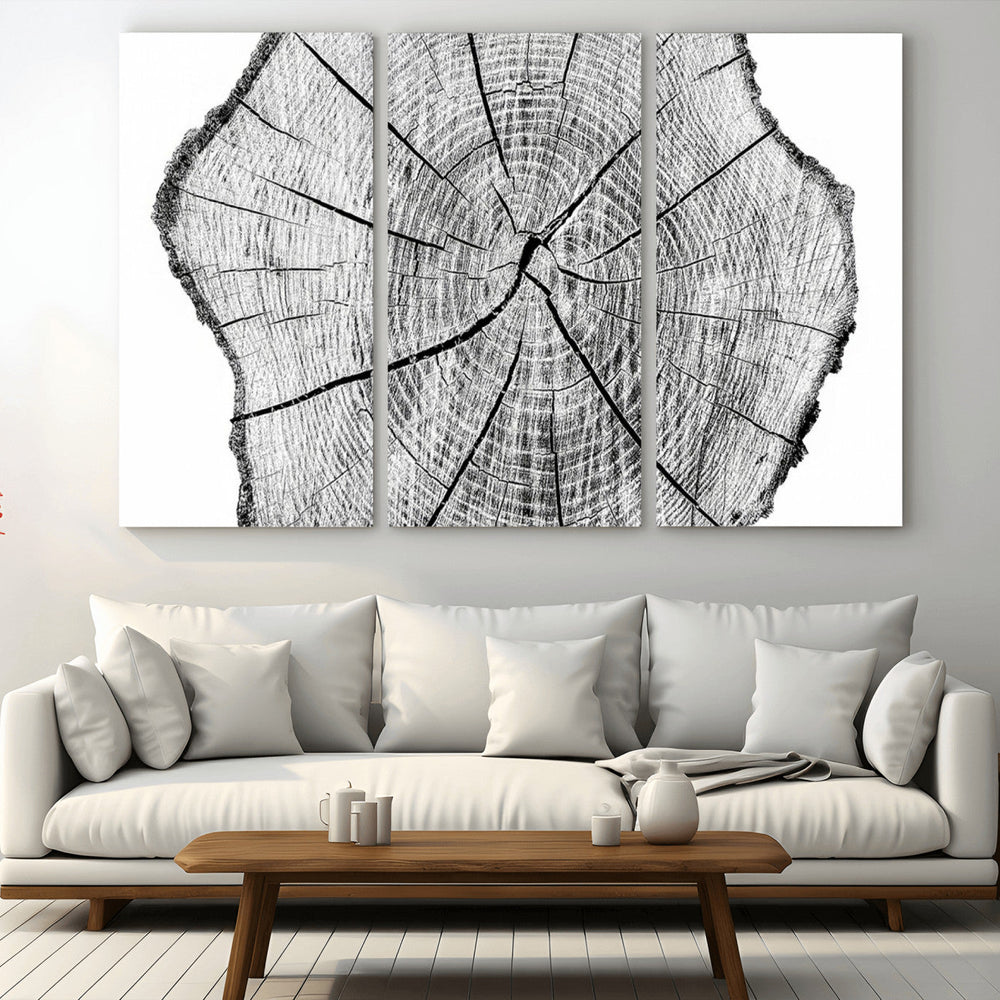 Rustic Tree Ring Wall Art Canvas Print – Framed and Ready to