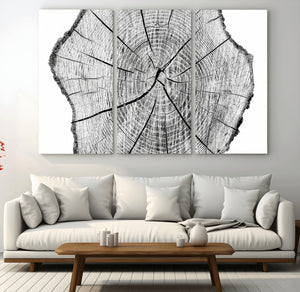 Rustic Tree Ring Wall Art Canvas Print – Framed and Ready to