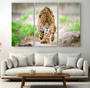 Leopard on the Prowl - Stunning Large Framed Leopard Wall