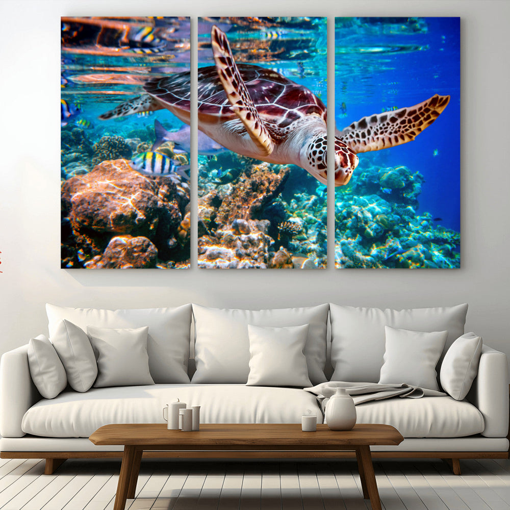 Underwater Coral Reef Sea Turtle Wall Art Canvas Print,