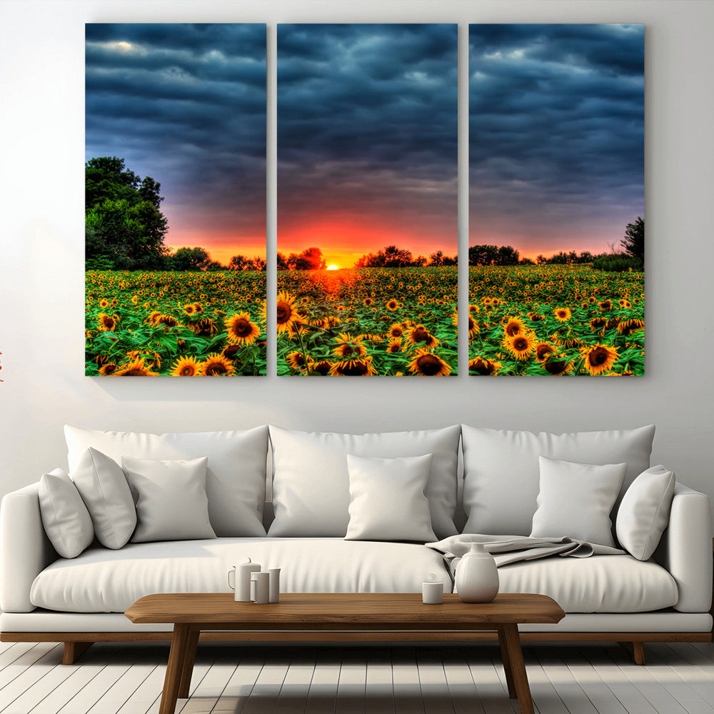Golden Sunflower Field at Sunset – Breathtaking Sky and