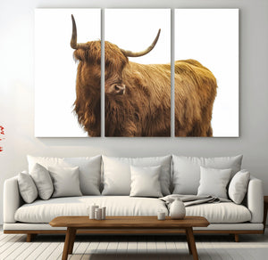 Highland Cow Wall Art Canvas Print – Framed Farmhouse Rustic
