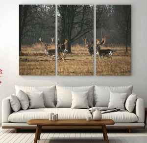 Deer Wall Art Canvas Print – Framed Rustic Wildlife Stags