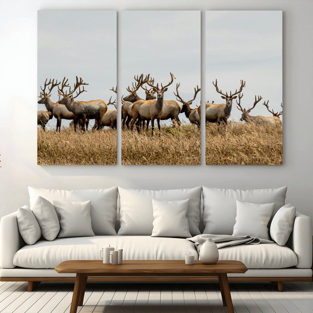 Elk Herd Wall Art Canvas Print – Framed Wildlife Photography