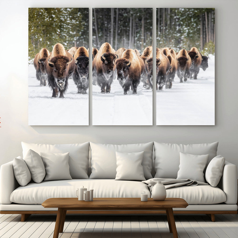 American Bison Herd Wall Art Canvas Print – Powerful Winter
