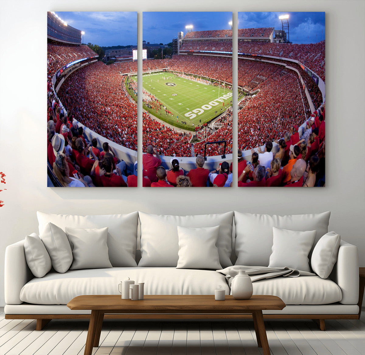 Dooley Stadium Wall Art, Sports Arena Canvas Print, Dooley