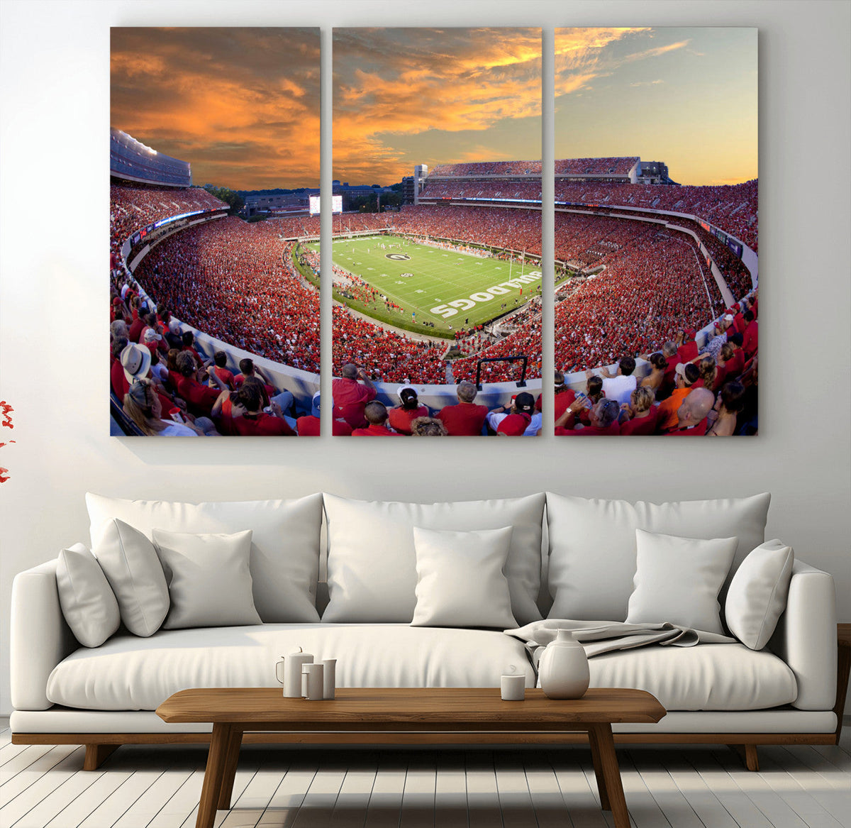 Dooley Stadium Wall Art, Sports Arena Canvas Print, Dooley