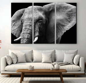Big Elephant Close Up Wall Art Canvas Print