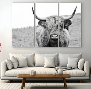 Newfoundland Cow Art Wall Art, Black White Cow Art Wall Art