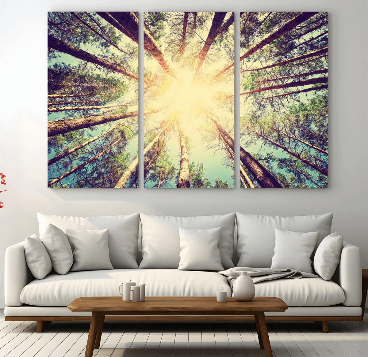 Tree and Sunshine Canvas Print