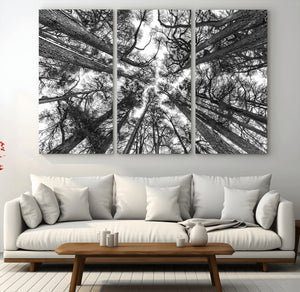 Trees Contemporary Art Canvas Print
