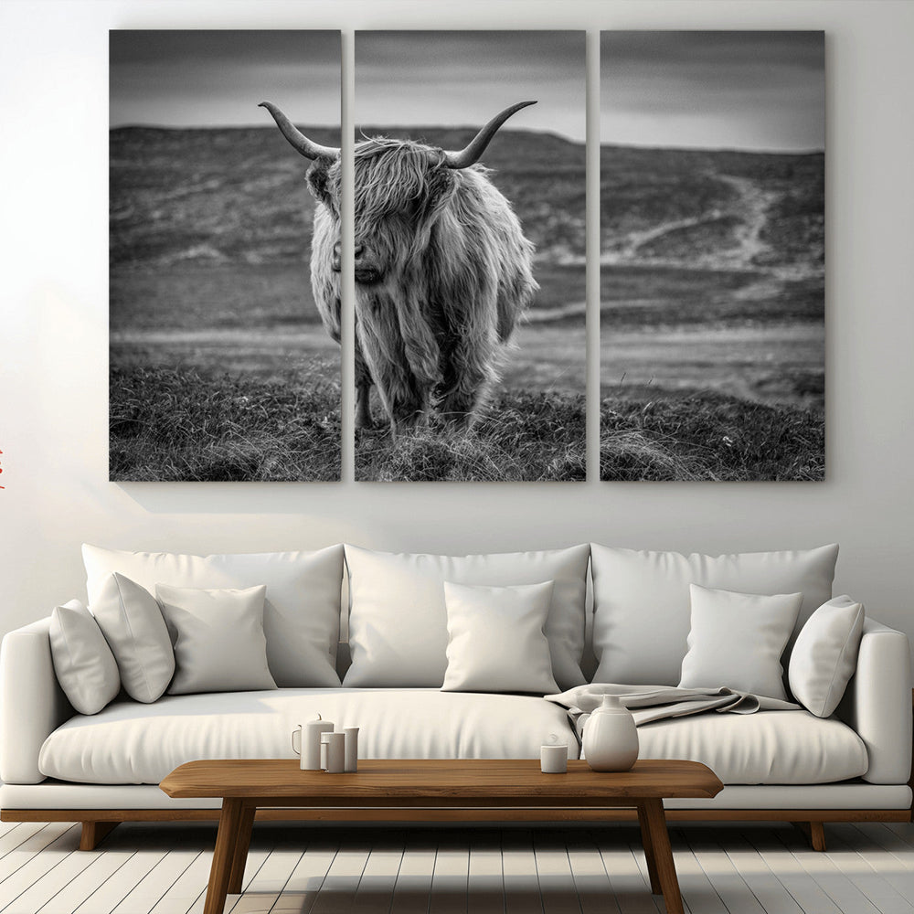 Fluffy Cattle Wall Art Print, Highland Cow Canvas, Framed