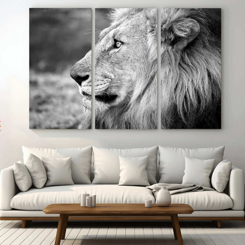 Lion Wall Art Canvas Print – Framed Majestic Wildlife