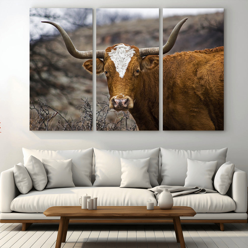Texas Longhorn Canvas Wall Art - Longhorn Steer Canvas Wall