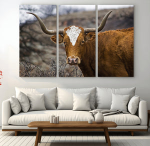 Texas Longhorn Canvas Wall Art - Longhorn Steer Canvas Wall