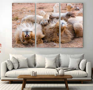 Lion Pair Wall Art Canvas Print – Framed Wildlife Scene with