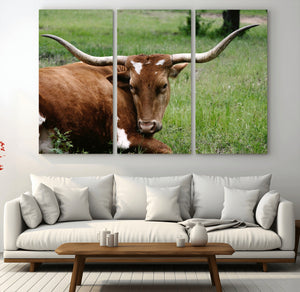 Longhorn Steer Canvas Wall Art – Rustic Nature Triptych