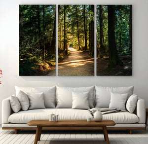 Sunlit Forest Pathway Canvas Print | 3 Panel Large Nature
