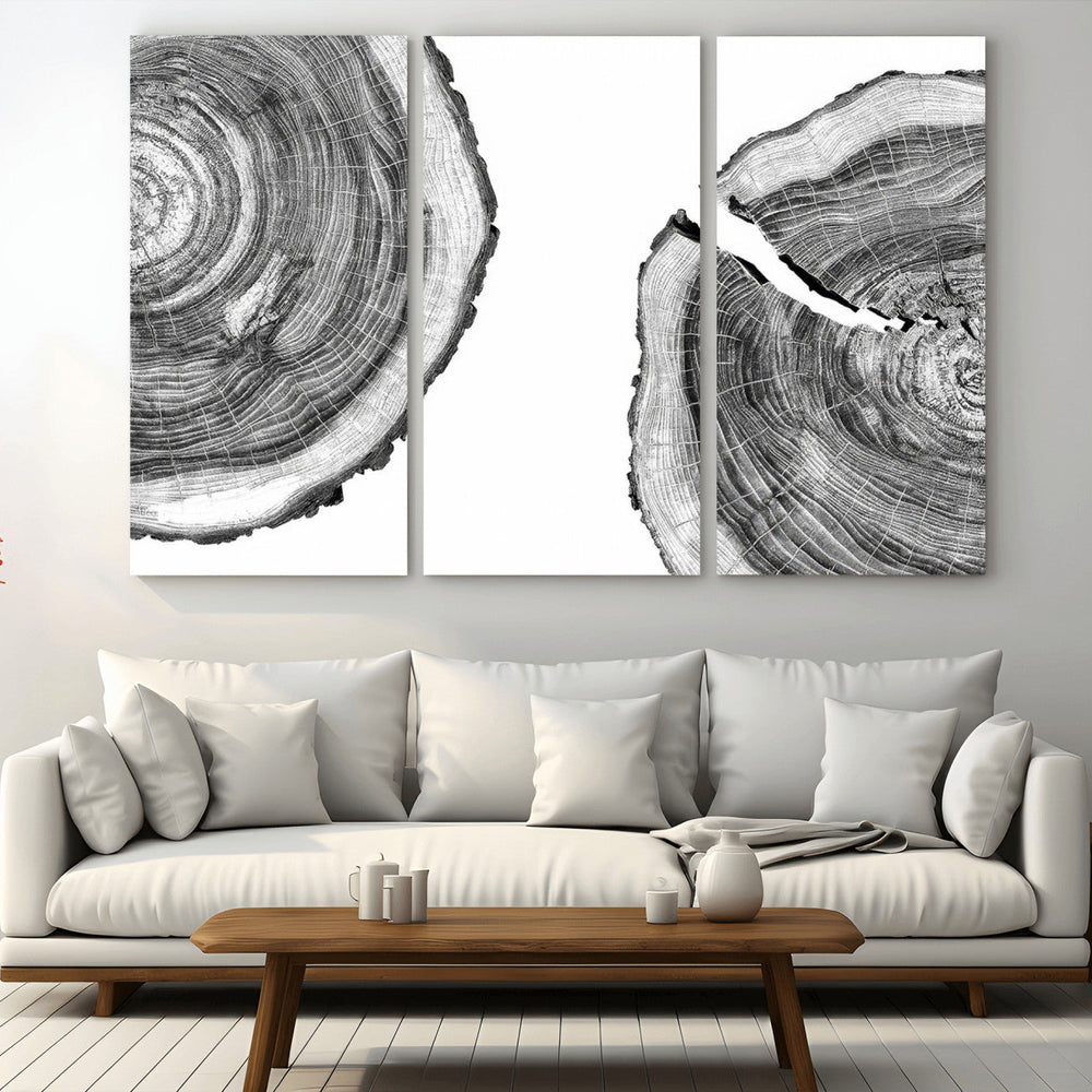 Abstract Large Tree Rings – Minimalist Black and White Wood