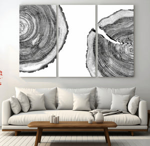 Abstract Large Tree Rings – Minimalist Black and White Wood