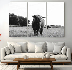 Black and White Highland Cow Wall Art Canvas Print | Rustic