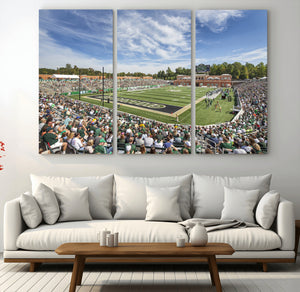 University of Charlotte 49ers Football Team Print -