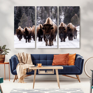 Bison Wall Art Canvas Print- Bison Herd Canvas Wall Art –