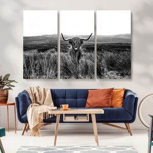 Black and White Highland Cow Canvas Wall Art, Longhorn