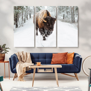 Bison Wall Art Canvas Print For Farmhouse, Animal Canvas