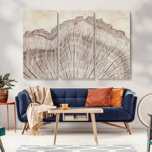 Tree Ring Wall Art Triptych, Rustic Wood Ring Canvas Print,