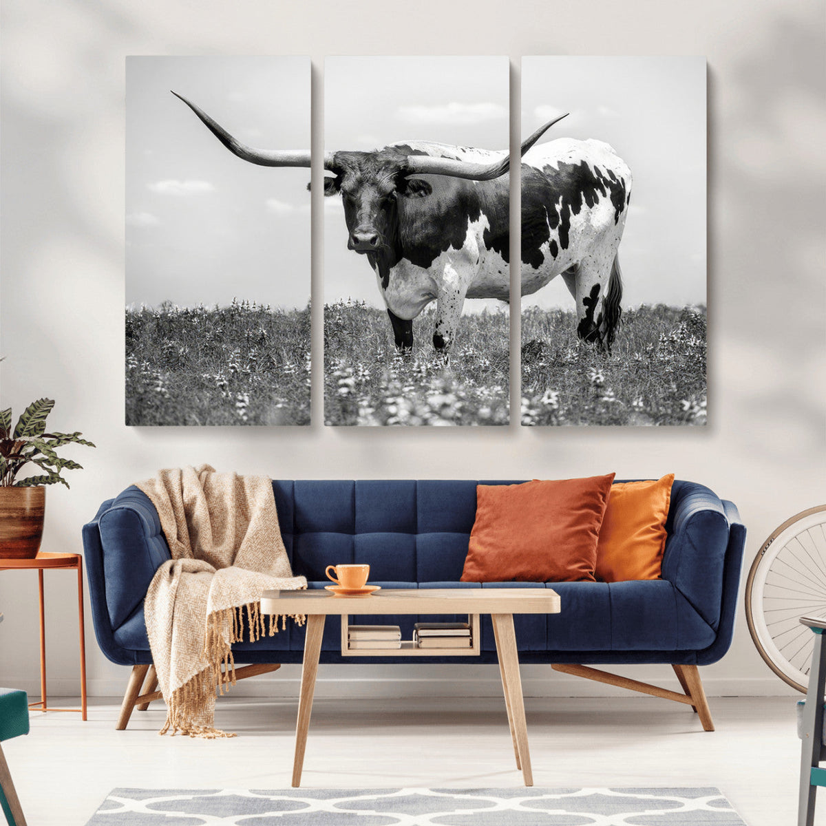 Texas Black White Highland Longhorn Cow Wall Art Canvas