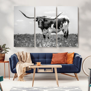 Texas Black White Highland Longhorn Cow Wall Art Canvas
