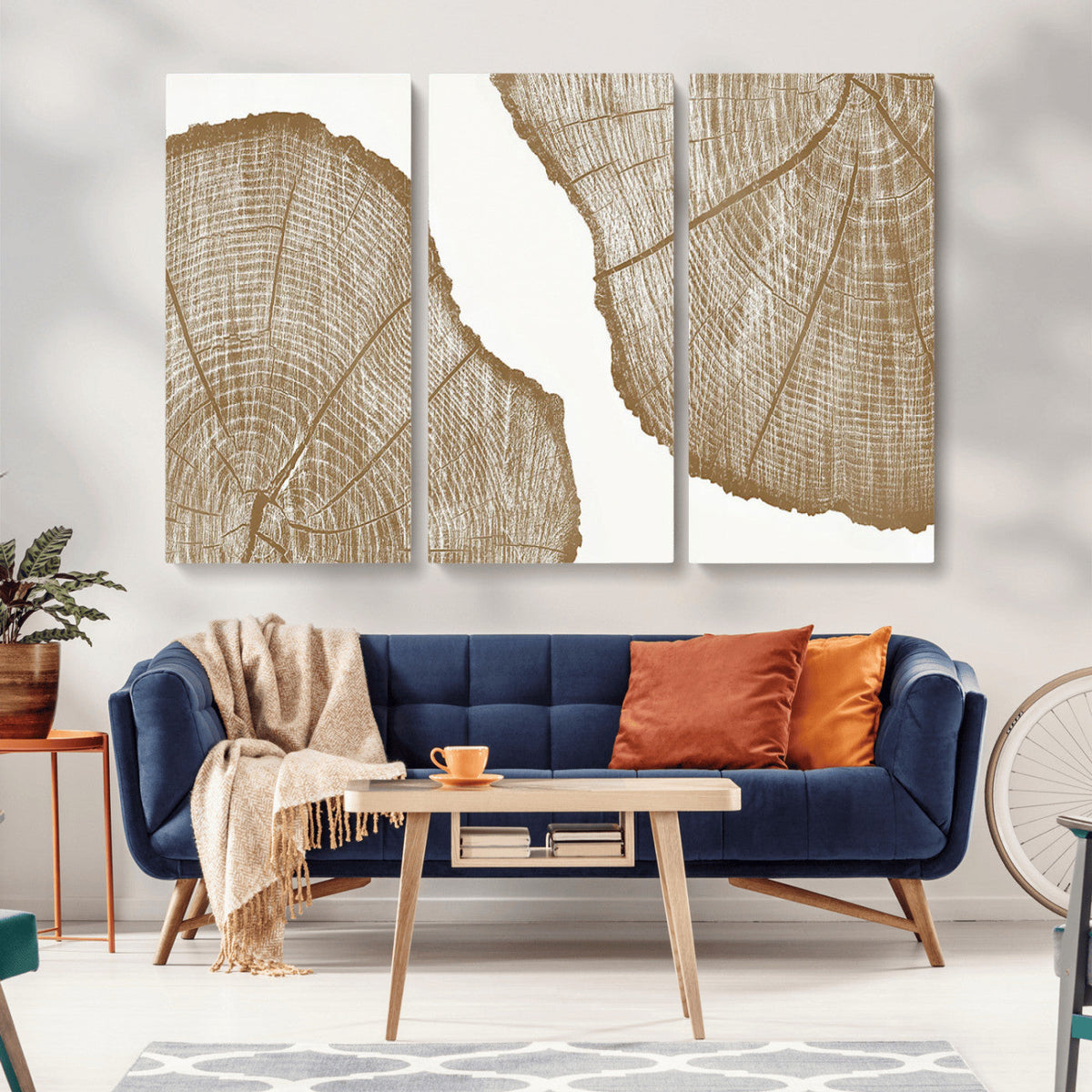 Rustic Brown Tree Ring Wall Art Canvas Print – Framed and