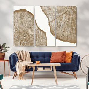 Rustic Brown Tree Ring Wall Art Canvas Print – Framed and