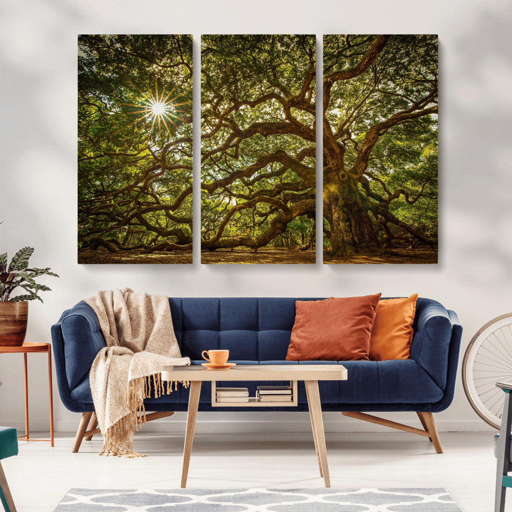 Ancient Angel Oak Tree Art Sunburst Canvas Print-