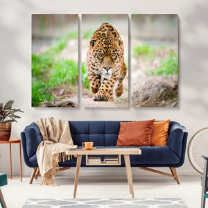 Leopard on the Prowl - Stunning Large Framed Leopard Wall