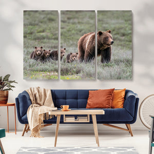 Wildlife Photography of 399 Grizzly Bear Cubs | Queen of the