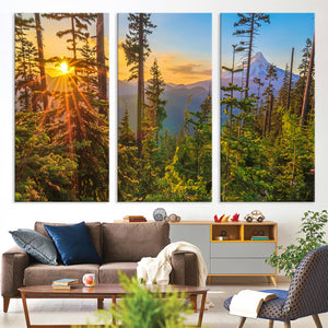 Forest Sunset Wall Art Canvas Print, Glowing Evening Light