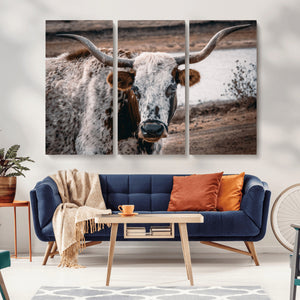Texas Longhorn Wall Art Canvas Print – Framed Spotted Bull