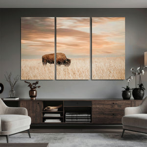 MyCanvas -