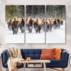 American Bison Herd Wall Art Canvas Print – Powerful Winter